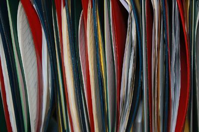 Steps to follow when performing an audit of a bank reconciliation